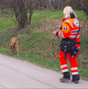 Personensuchhundeteam Alexandra und Shaya bestehen ihre Wiederholungsprüfung.